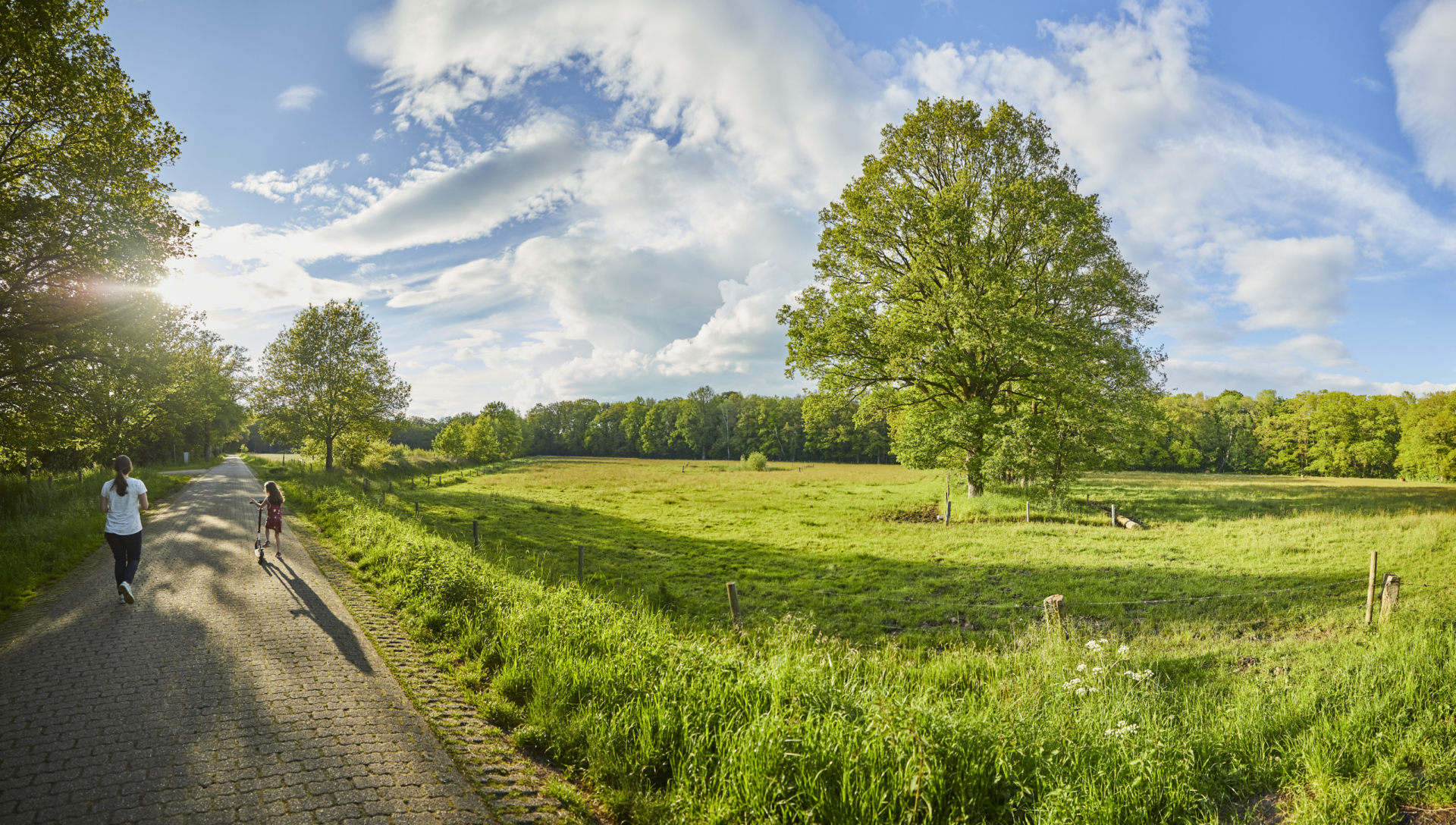 Omgeving Het Winkel
