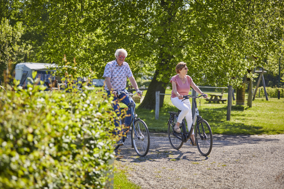 Fietsen Het Winkel