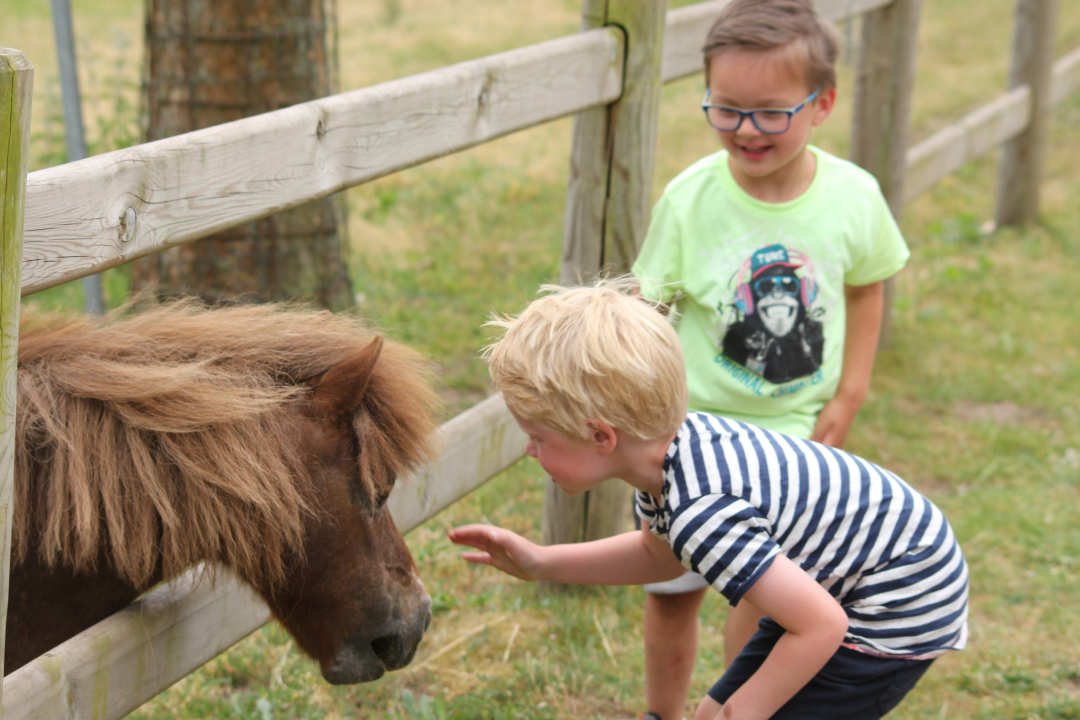 Pony Kinderboerderij