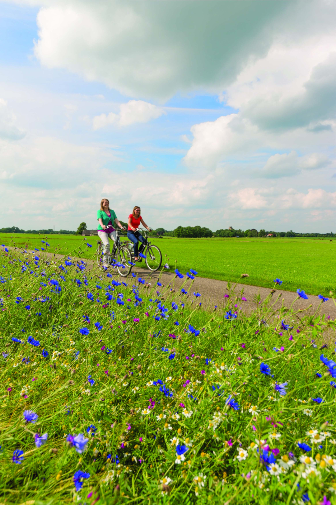 Fietsen in de Achterhoek