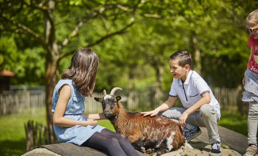 Dierenwijde