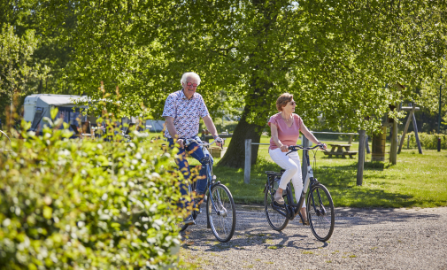 Fietsen Het Winkel