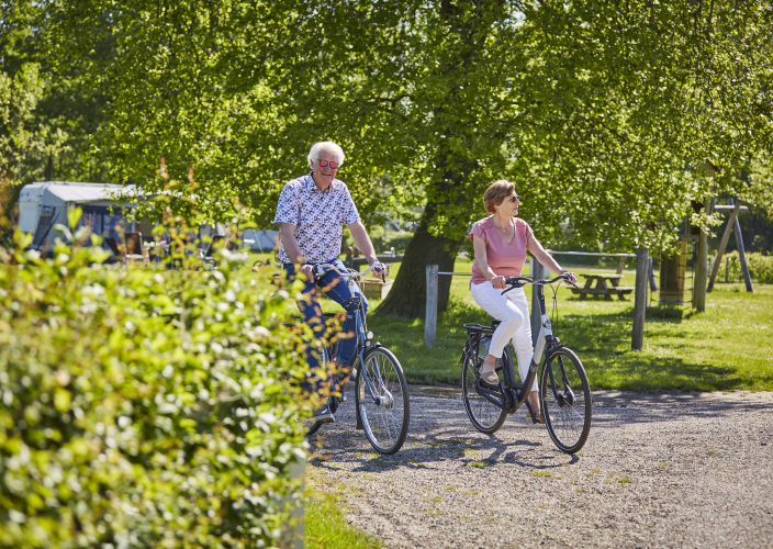 Fietsen Het Winkel