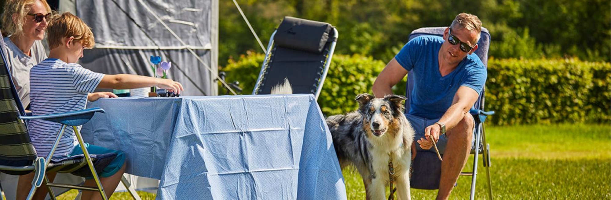 Kamperen in Winterswijk met hond