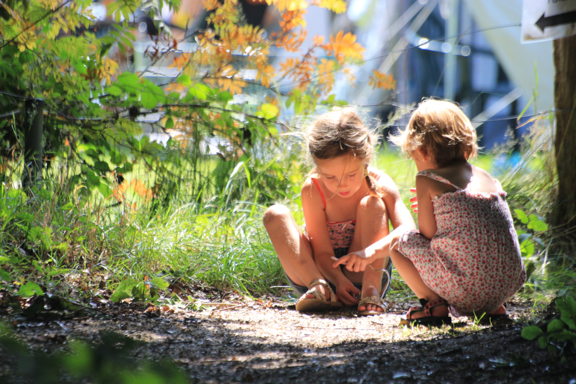 Natuur kinderen
